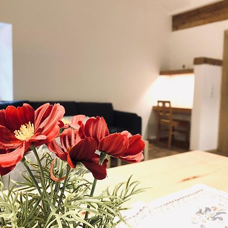 Steinergut Apartments ザンクト・マルティン・バイ・ローファー エクステリア 写真
